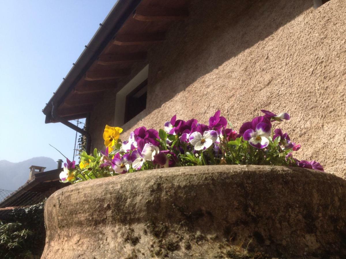 La Tana Del Ghiro Bed & Breakfast Porto Valtravaglia Luaran gambar